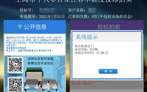 自己拍沪牌中标，本月沪牌拍卖他做对了这几件事