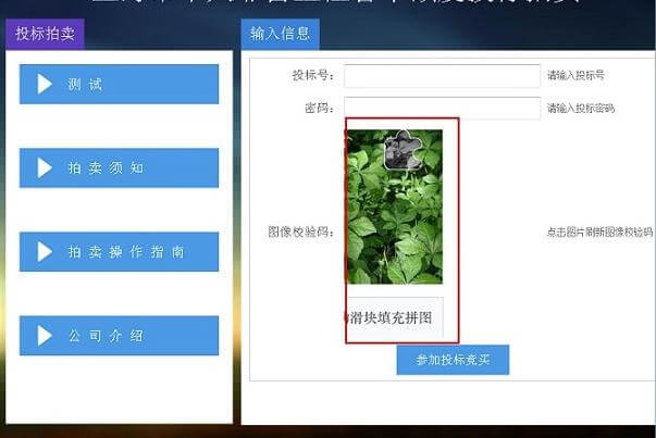 近期上海车牌拍卖网站常见错误提示汇总