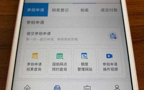上海拍牌网上操作指南，申请购买标书、成交付款一网通办