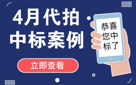 4月沪牌哥代拍沪牌中标案例