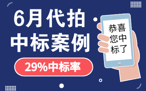 6月沪牌哥代拍沪牌中标案例