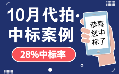 10月沪牌哥代拍沪牌中标案例