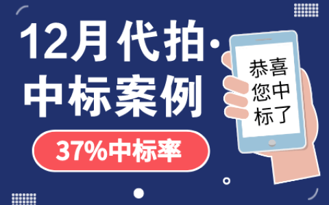 12月沪牌哥代拍沪牌中标案例