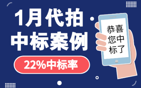 1月沪牌哥代拍沪牌中标案例