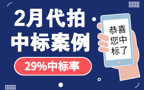 2月沪牌哥代拍沪牌中标案例