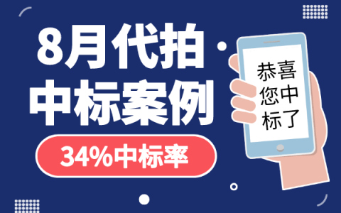 8月沪牌哥代拍沪牌中标案例