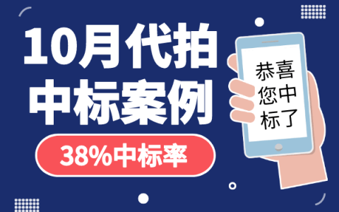 10月沪牌哥代拍沪牌中标案例