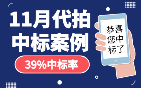 11月沪牌哥代拍沪牌中标案例