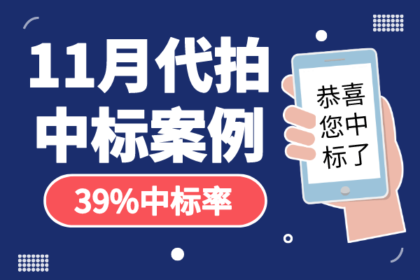 11月代拍沪牌中标案例