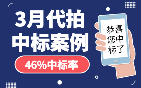 3月沪牌哥代拍沪牌中标案例